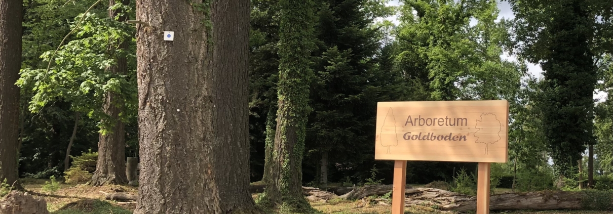 Arboretum Manolzweiler