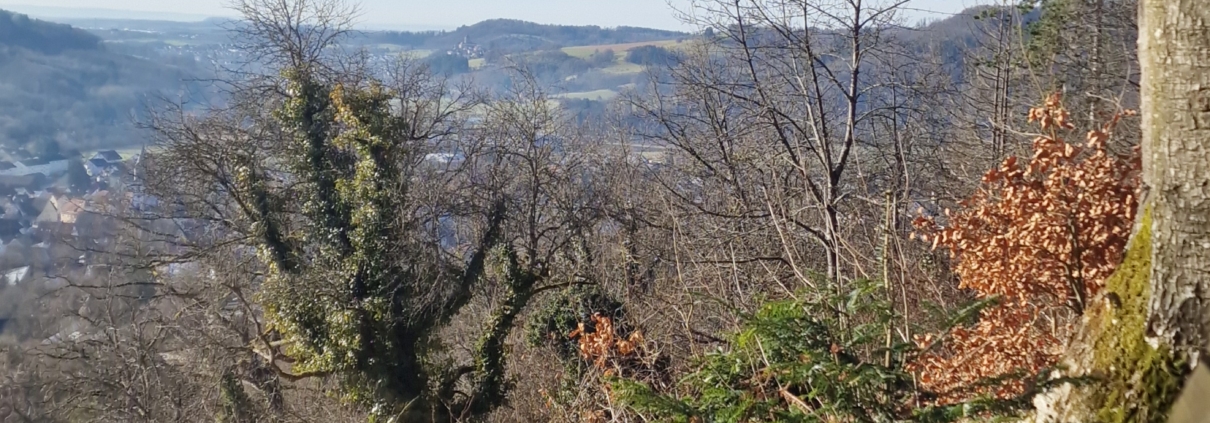 Foto zeigt Blick auf Sulzbach
