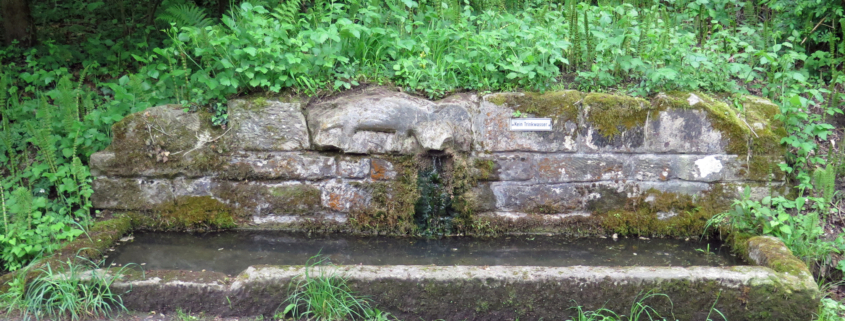 Bild Hammerbrunnen